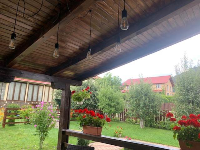 Vila Rolizo Braszów Zewnętrze zdjęcie